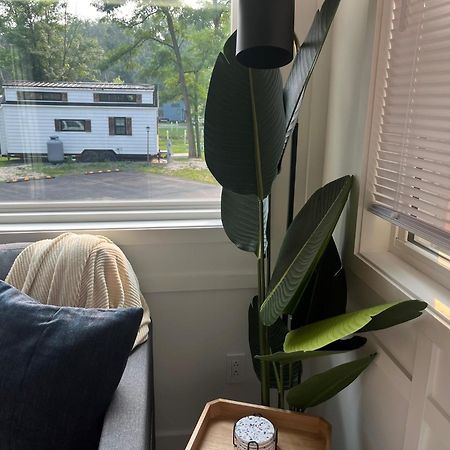 The Tiny Getaway Home 伊丽莎白镇 外观 照片